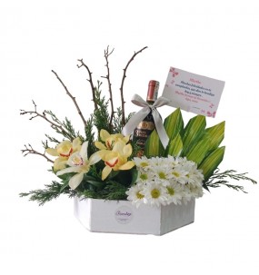 copy of Hummingbird printed...