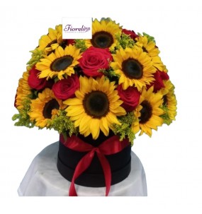 copy of Hummingbird printed...