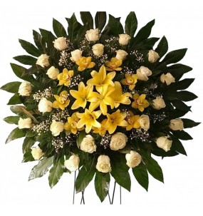 copy of Hummingbird printed...