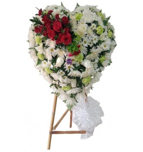 copy of Hummingbird printed...