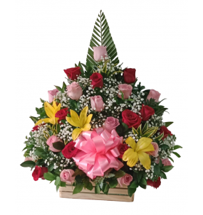 copy of Hummingbird printed...