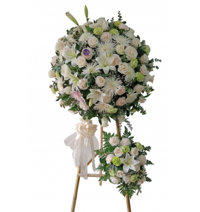 copy of Mountain fox -...