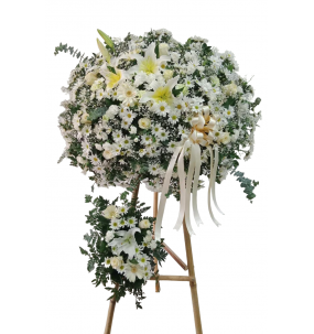 copy of Hummingbird printed...