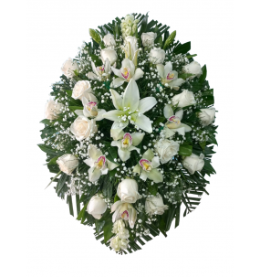 copy of Hummingbird printed...