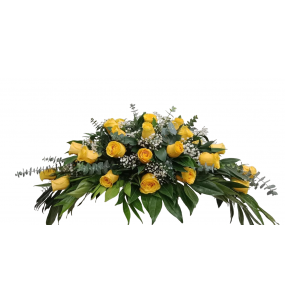 copy of Hummingbird printed...