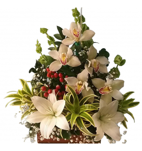 copy of Hummingbird printed...