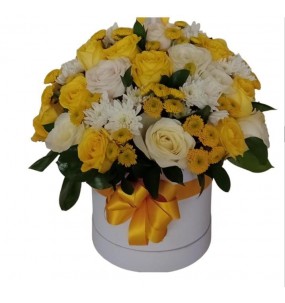 copy of Hummingbird printed...