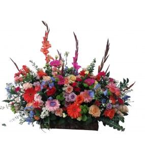 copy of Hummingbird printed...