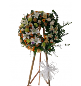 copy of Hummingbird printed...