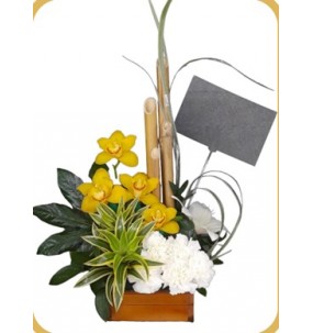 OFRENDA BAMBU REF : BF006