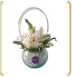 CONCOLENCIA CON ORQUIDEAS...