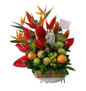 FRUTERO TROPICAL