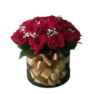 ESPECIAL ROSAS