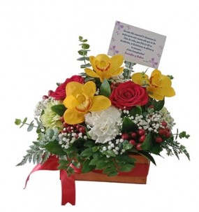 ESPECIAL ORQUIDEAS Y ROSAS