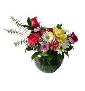 PECERA ROSA S Y ORQUIDEAS