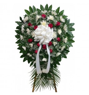 Hummingbird - Vector graphics