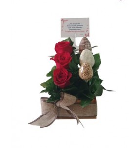 ROSAS Y FRUCHETAS