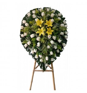 Mountain fox - Vector graphics