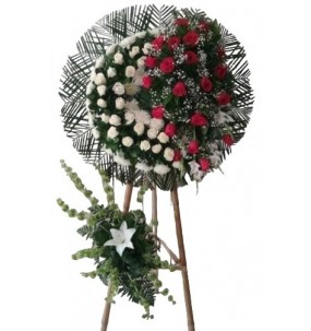 Mountain fox cushion