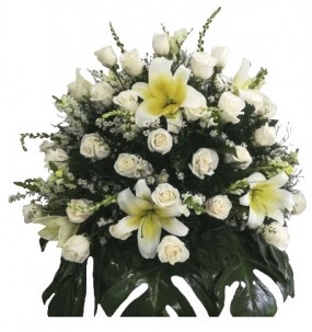 Hummingbird printed t-shirt