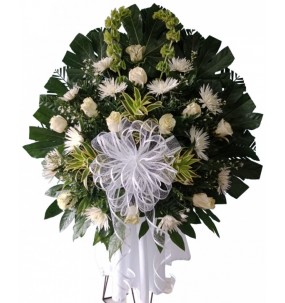 copy of Hummingbird printed...