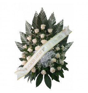 copy of Hummingbird printed...