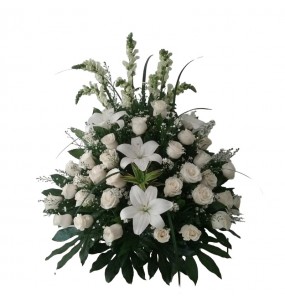 copy of Hummingbird printed...