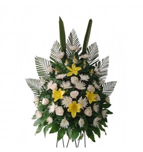 copy of Hummingbird printed...