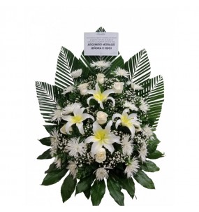 copy of Hummingbird printed...