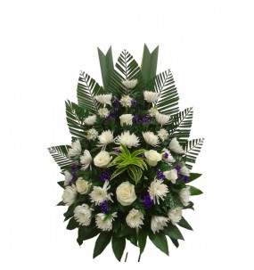 copy of Hummingbird printed...