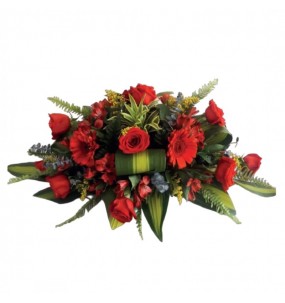 copy of Hummingbird printed...