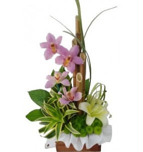 copy of Hummingbird printed...