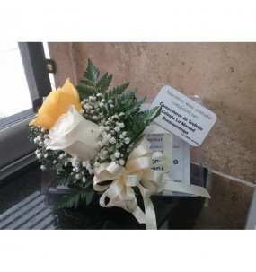 copy of Hummingbird printed...