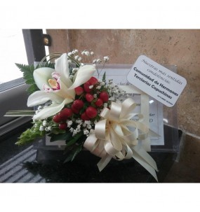 copy of Hummingbird printed...