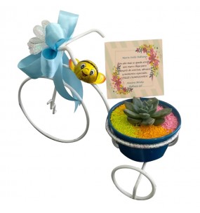 copy of Hummingbird printed...