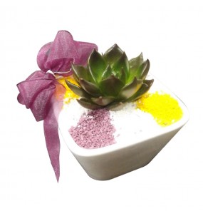 copy of Hummingbird printed...